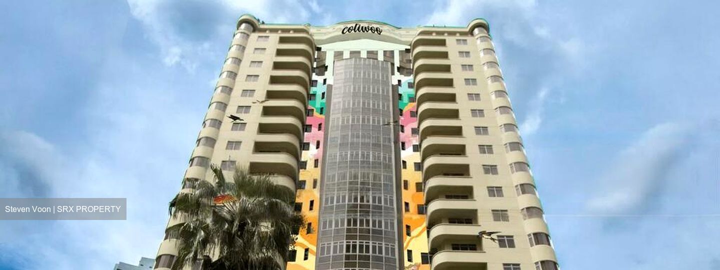 Mount Elizabeth Link (D9), Apartment #516091861